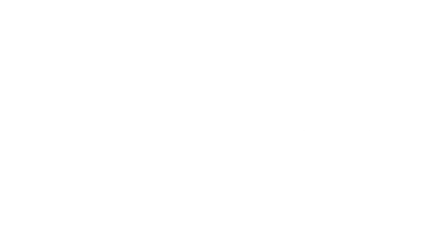 LOGO MV learnflamenco_blanco