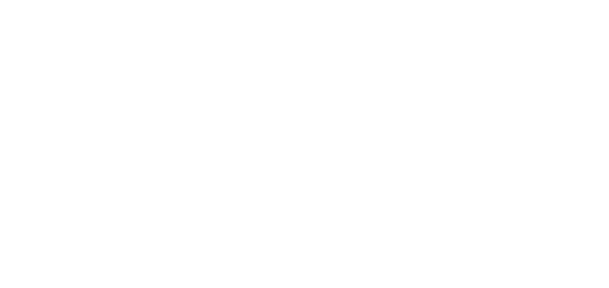 logo-experience